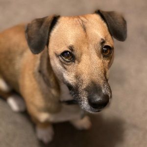 Meet your Posher, Meagan